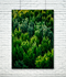 Test Creator_Poster DIN A0 Poster Wald - A0
