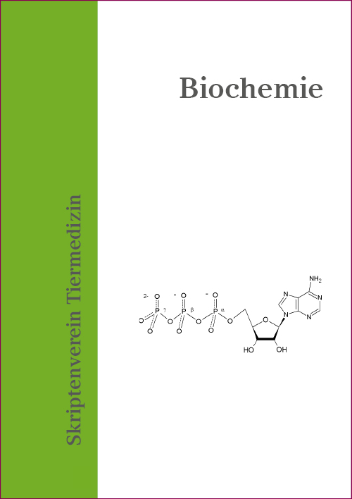 Einzelskripte Biochemie