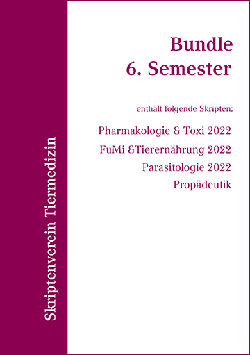 Bundle 6. Semester