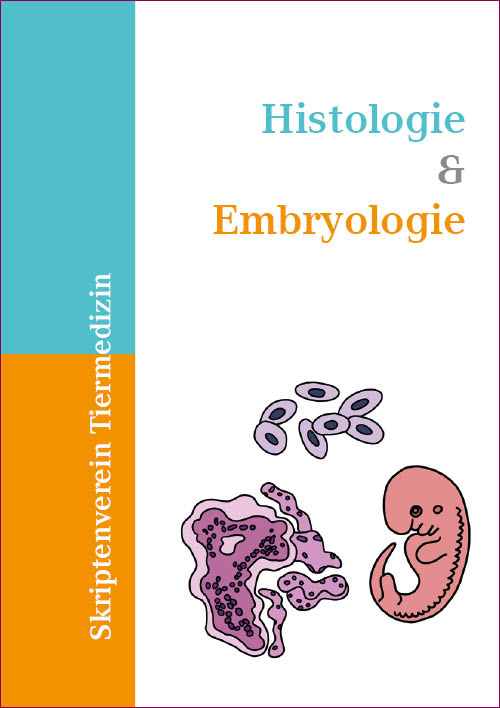 Einzelskripte Histologie & Embryologie 2023