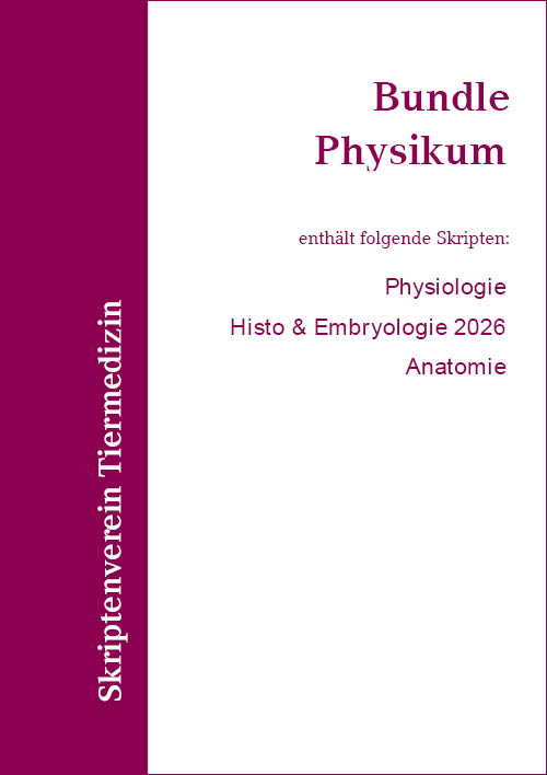 Bundle Physikum