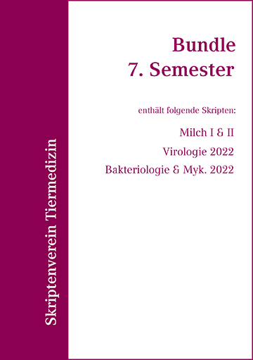 Bundle 7. Semester