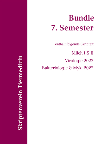 Bundle 7. Semester