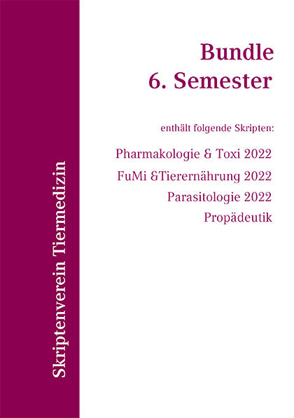 Bundle 6. Semester