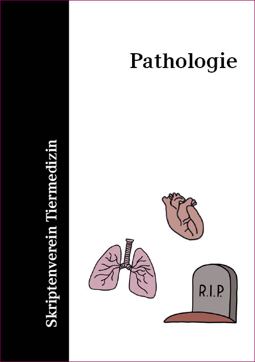 Einzelskripte Pathologie 2024